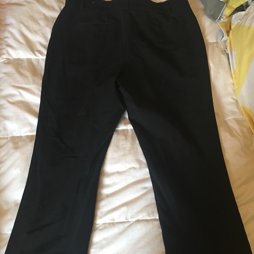 Maurices I Am Polished dress pants